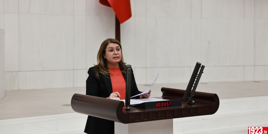 GÜLİZAR BİÇER CHP KADIN SİYASETÇİ